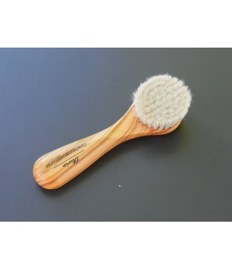 Brosse visage